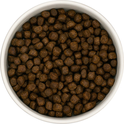 Grain Free Cachorro pollo
