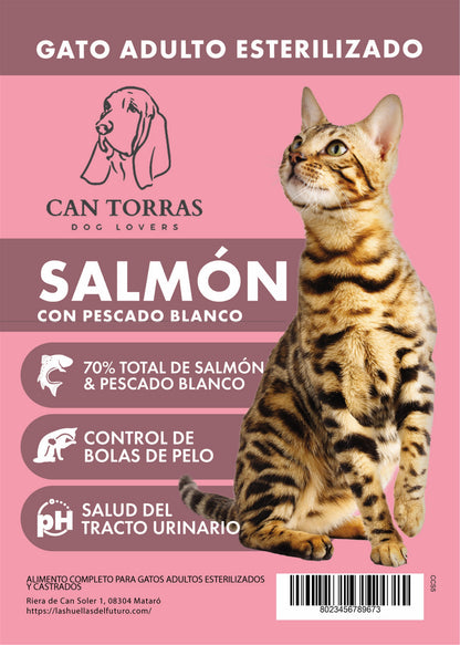 Gato Salmón Adulto esterilizado