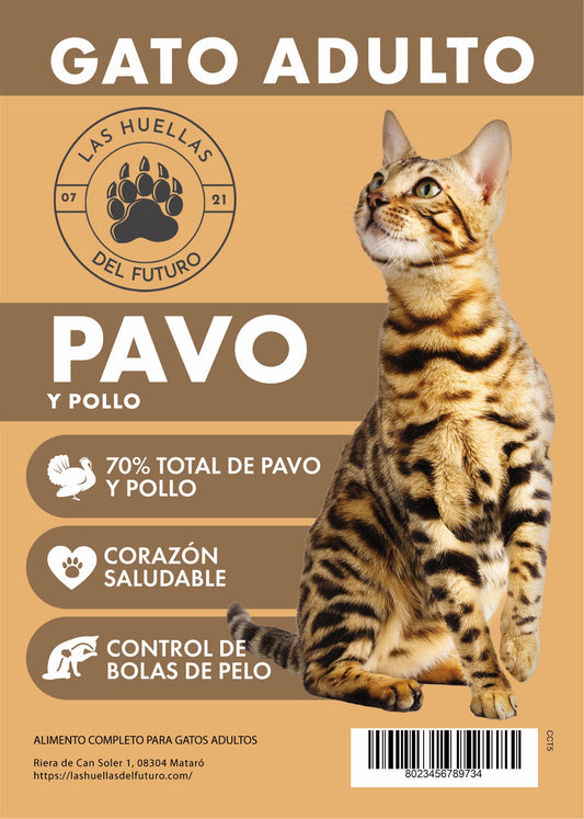 Pavo
