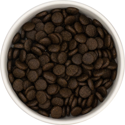 GrainFree Salmón Adulto